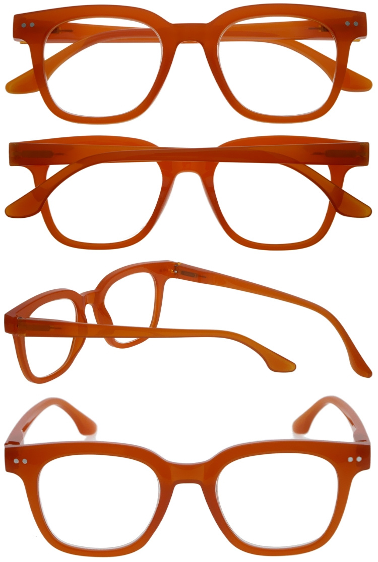 DRP317028 Outdoor Work Reading Glasses For Low Vision (3)