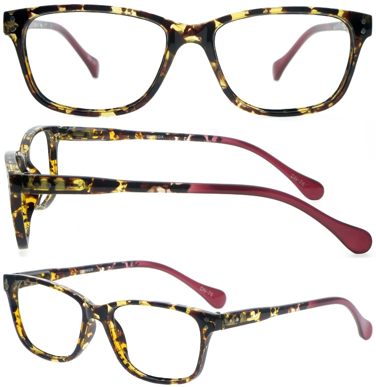 DRP439007 Double Colors Reading Presbyopia Glasses with Packaging Customization (1)