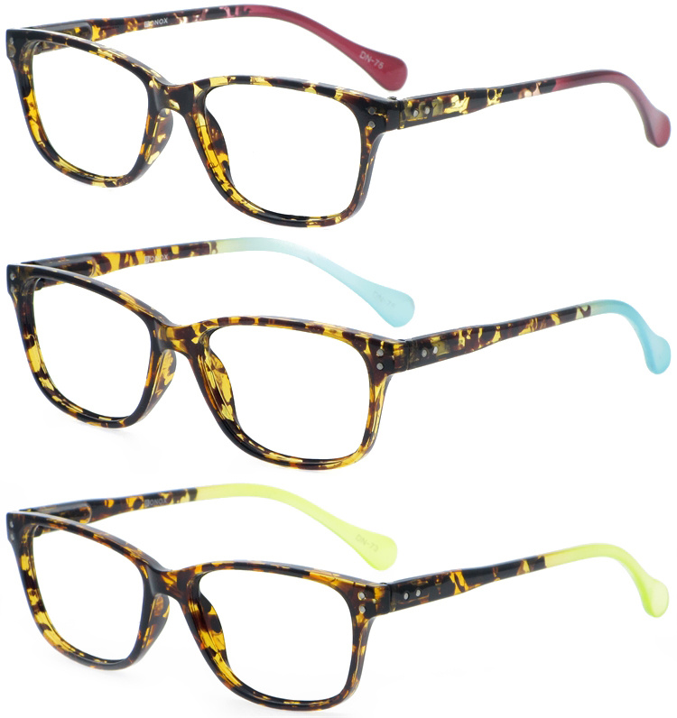 DRP439007 Double Colors Reading Presbyopia Glasses with Packaging Customization (2)