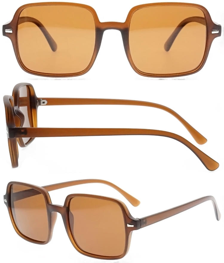 Dachuan Optical DSP102008 China vervaardig nuwerwetse, groot rekenaarsonbrille met metaalskarnier (11)