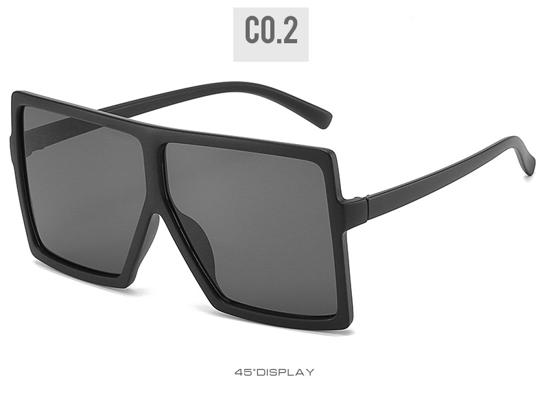 Dachuan Optical DXYH17059 Oversized Fashion Sunglasses (53)